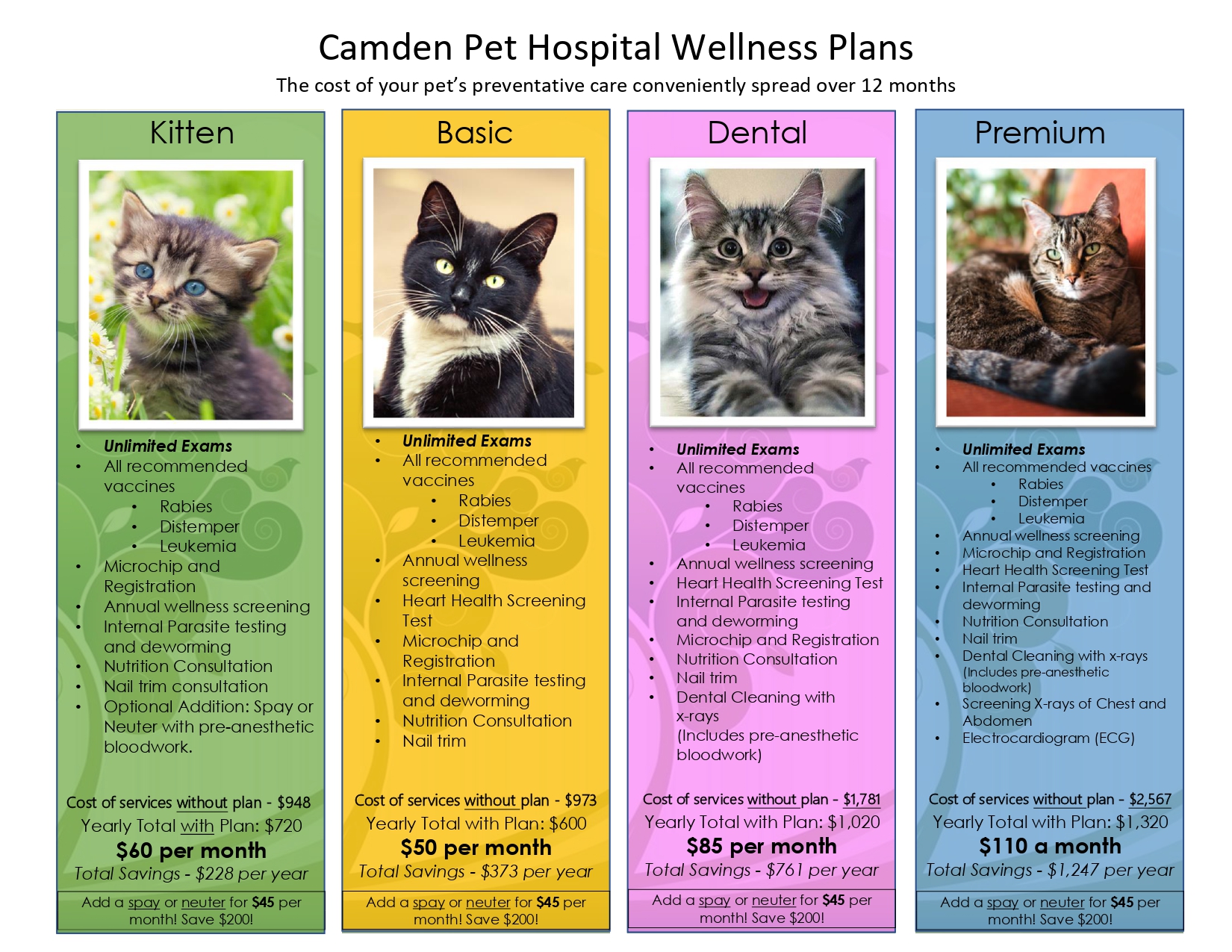 Cat Wellness Plans