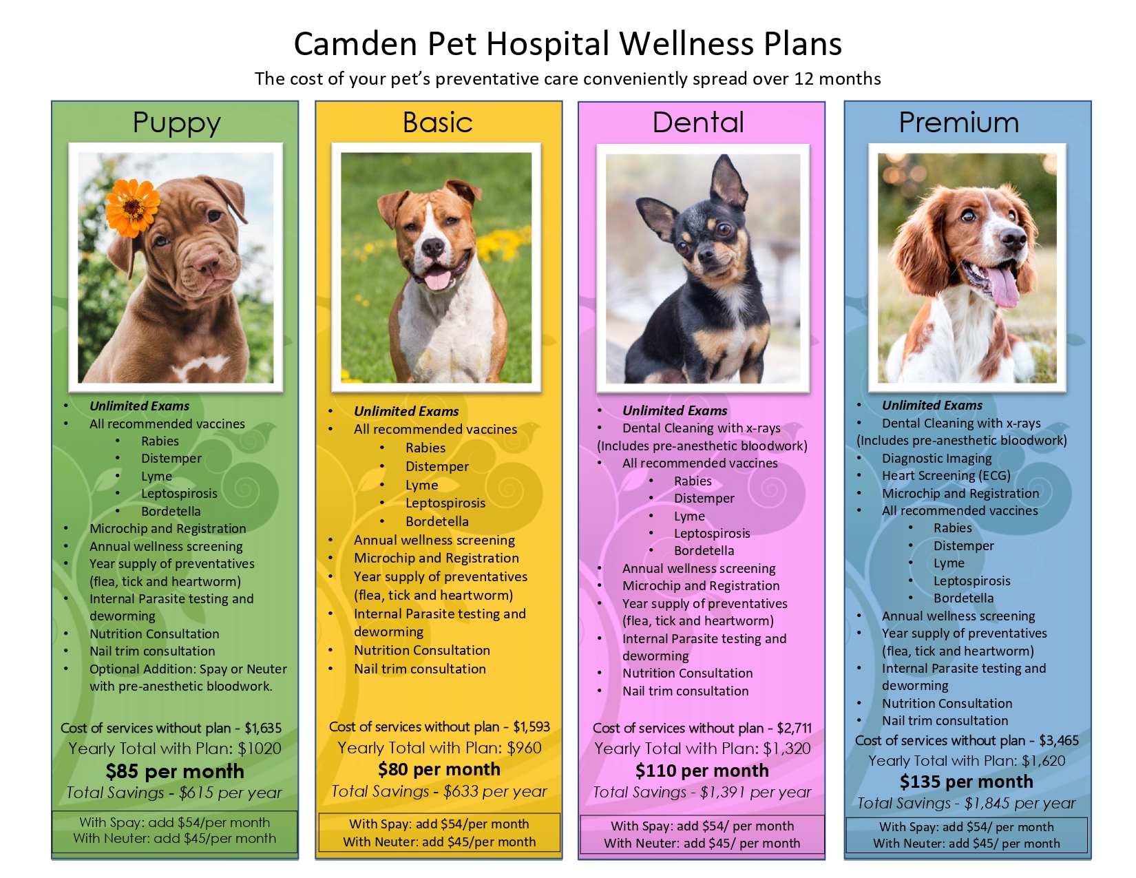Wellness Plan Dogs