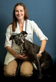 Camden Pet Hospital: Top Rated Minneapolis Veterinarians