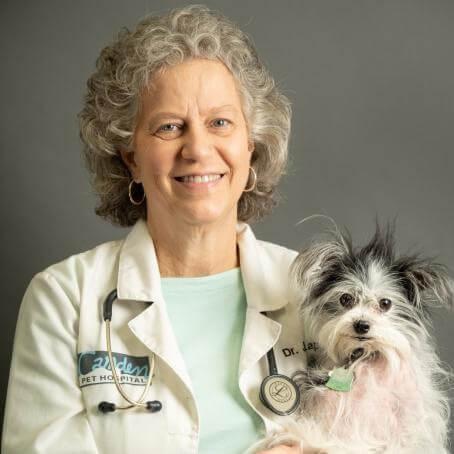 Dr. Lapham